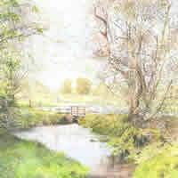 Wey At Pyrford – Foot Bridge On Basingstoke Canal – National Trust – Wey Navigation Art Gallery – Fine Art Prints Of Painting By Woking Surrey Artist