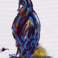 Crow – Rachael Tan – Surrey Artist – Painting in Acrylics on Canvas and Drawings in Charcoal and Pencil