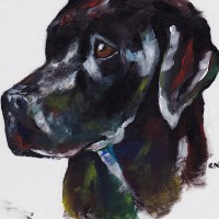Labrador – Rachael Tan – Surrey Artist – Painting in Acrylics on Canvas and Drawings in Charcoal and Pencil