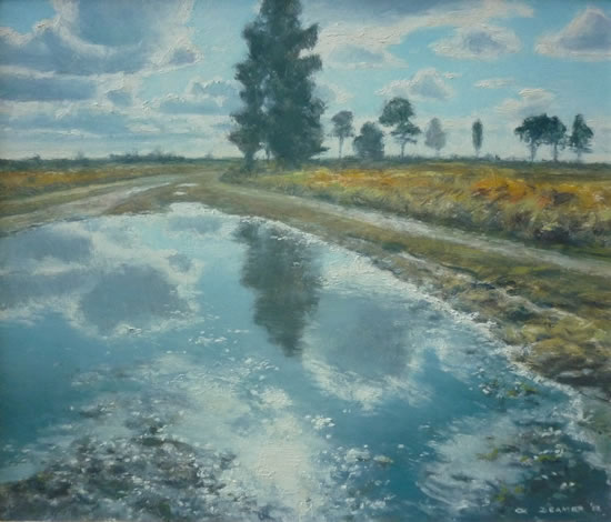 After The Rain, Ash Ranges - David Deamer - Artist in Oils and Pencil Portraits - Surrey Art Gallery - Pirbright Art Club - Woking Society of Arts