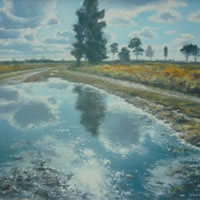 After The Rain, Ash Ranges – David Deamer – Artist in Oils and Pencil Portraits – Surrey Art Gallery – Pirbright Art Club – Woking Society of Arts