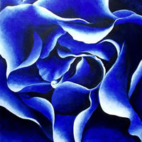 Blue Rose – Flowers – Kerry Regan – Artist Painting in Acrylic and Other Media – Surrey Art Gallery