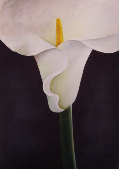 Lily - Flowers - Kerry Regan - Artist Painting in Acrylic and Other Media - Surrey Art Gallery