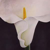 Lily – Flowers – Kerry Regan – Artist Painting in Acrylic and Other Media – Surrey Art Gallery