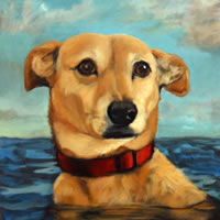 Painting of Dog Swimming In The Sea – Sussex – Colette Simeons – Portrait Artist – Surrey Art Gallery