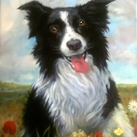 Portrait Painting – Border Collie Dog – Colette Simeons – Portrait Artist – Surrey Art Gallery