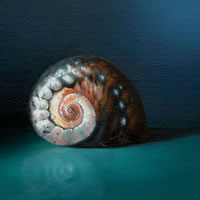 Sea Shell – Romy Rey – Artist Painting Landscapes, Dreamscapes, Geometrics, Ancient and Tribal – Surrey Art Gallery