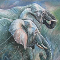 South African Elephants – Sarah James – Portrait Artist in Oils and Pastels – Richmond Art Society – Surrey Art Gallery
