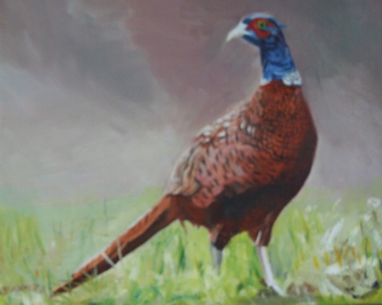 Bird - Male Pheasant - Surrey Artist Rodney Thomas Annetts - Woking Society Of Art - Gallery