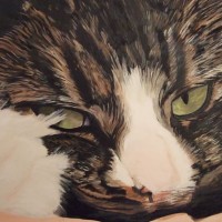 Cat Painting Commissions Invited – Britney (work in progress) – Sicilian Artist Teresa Scannella – Surrey Artists Gallery – White Rose Art Group Woking