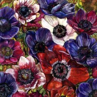Flowers – Anemones II – Susie Lidstone – Surrey Artist – Society of Floral Painters – United Society of Artists