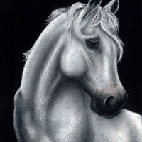 Horse Portrait – Dreamer – People, Pet and Horse Portraits and Fantasy Art – Jane Disney – Frimley and Camberley Society of Arts – Surrey Art Gallery