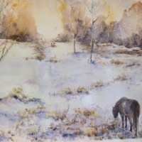 Lonely Pony – Hindhead Common – Surrey Artist Ingrid Skoglund – Guildford Art Society, Village Artists, Pirbright Art Cluband West Surrey Artists