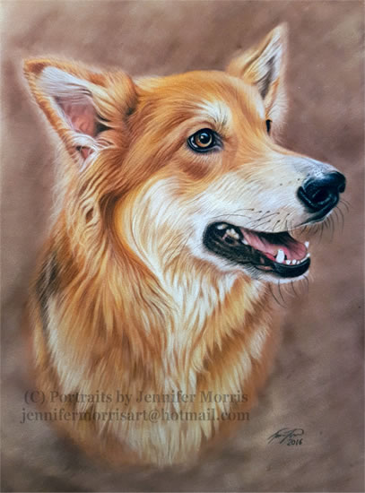 Portrait Of Dog - Lexie - Jennifer Morris - Pet Portraiture Artist - Sussex Art Gallery