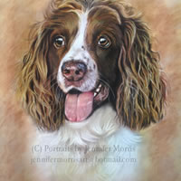 Portrait Of Dog – Sadie – Jennifer Morris – Pet Portraiture Artist – Sussex Art Gallery