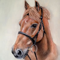 Portrait Of Horse- Red – Jennifer Morris – Equestrian and Pet Portraiture Artist – Sussex Art Gallery