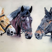 Portrait Of Horses – Martha, Henry and Donna – Sussex Artist – Jennifer Morris – Pet Portraiture Artist