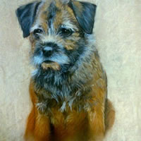 Portrait of Dog (Terrier) – Meg – Jennifer Morris – Pet Portraiture Artist – Sussex Art Gallery