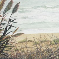 Water Reeds – Sicilian Sea – Sicilian Artist Teresa Scannella – Surrey Artists Gallery – White Rose Art Group Woking