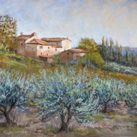 Evening Olives, Tuscany – Malcolm Surridge – Artist – Painting in Pastels – Surrey Artists Gallery