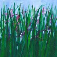 Fine Art Prints For Sale – Purple Irises – Shepperton Middlesex Artist Derek Cooke