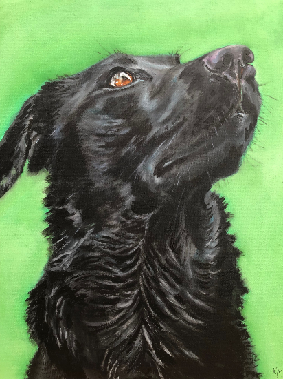Black Labrador Portrait in Oils Commission - Woking Surrey Artist Katharine Mann