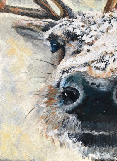 Nosey Reindeer Oil on Canvas Painting - Woking Surrey Animal Artist Katharine Mann