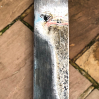 Ostrich on Wood – What are you looking at – Art by Woking Mixed Media Artist Katharine Mann