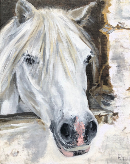 Pony Commissioned Portrait in Oils - Woking Surrey Animal Artist Katharine Mann