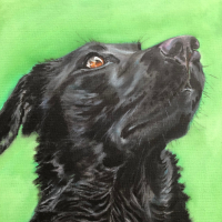 Wet Black Labrador Portrait in Oils Commission - Woking Surrey Artist Katharine Mann