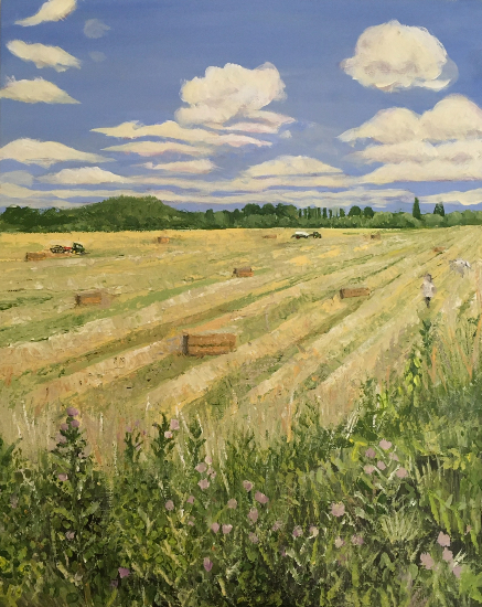Haymaking - Chertsey Meads - Harvest Time - Surrey Meadows - Landscape Artist Sally Anne Wake Jones