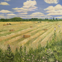 Haymaking – Chertsey Meads – Harvest Time – Surrey Meadows – Contemporary Landscape Artist Sally Anne Wake Jones