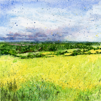 Oilseed Rape Fields and Rain Clouds – Hog’s Back, Guildford Surrey – Landscape Artist Simon de Kretser