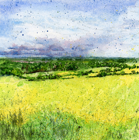 Oilseed Rape Fields and Rain Clouds - Hog's Back, Guildford Surrey by Landscape Artist Simon de Kretser