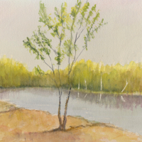 Tree Beside a Small Lake – Watercolour Painting by Staines on Thames Artist John Hart Mills