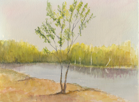 Tree Beside a Small Lake - Watercolour Painting by Staines on Thames Artist John Hart Mills