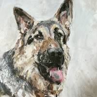 Alsatian Dog Art Commission – Justin Norcott – Surrey Artists