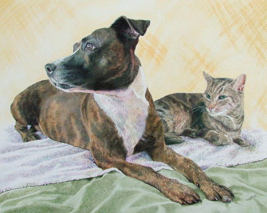 Dog and Cat Portrait - Animal Artist Jacqui Slade