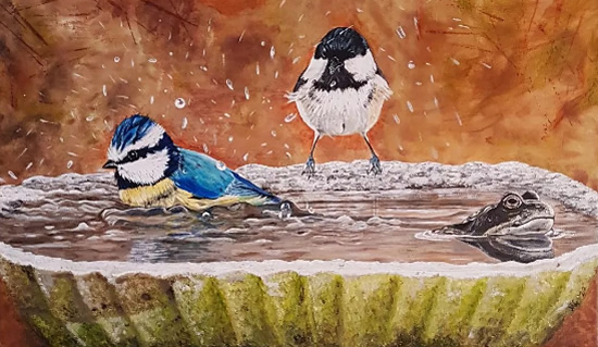 Bird Bath - by Animal Artist Mandy Gomm