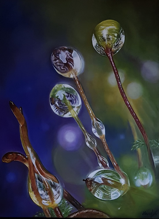 Morning Dew - Oil Painting - Coulsdon Surrey SAOS Artist Mandy Gomm