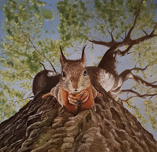Squirrel Oil Painting - Croydon Art Society Animal Artist Mandy Gomm