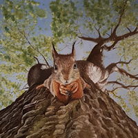 Squirrel Oil Painting – Croydon Art Society Animal Artist Mandy Gomm