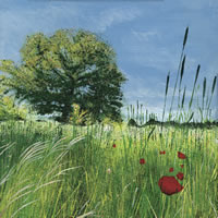 Oak Tree and Poppies Painting – Art Prints For Sale – Woking Artist Teresa Scannella – Surrey Artists Gallery