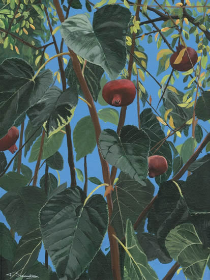 Pomegranate Tree - Kefalonia - Art Prints For Sale - Woking Artist Teresa Scannella - Surrey Artists Gallery