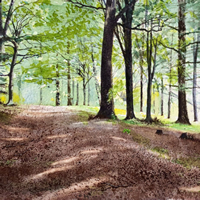 Watercolour – Forest – Larkin’s last line by Surrey Landscape Artist Colin Wood
