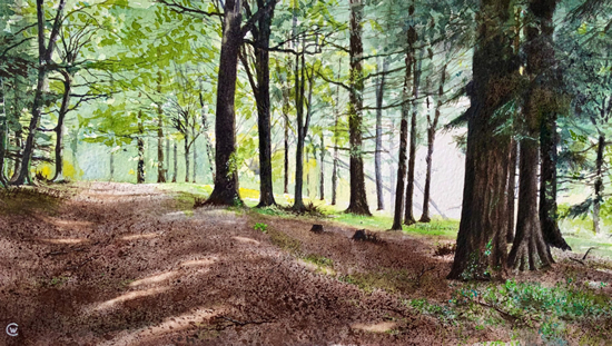 Watercolour - Forest - Larkin's last line by Surrey Landscape Artist Colin Wood