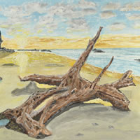 Driftwood on Beach at Sunset – Art Gallery of Woking Surrey Artist Chris Grace