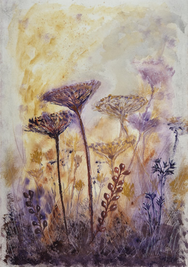 Winter Seed Heads and Wild Flowers - Watercolour Painting - Woking Surrey Art Gallery