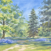 Bluebells, Bushy Park – Royal Park Watercolour by Surrey Landscape Artist Nadia Poe