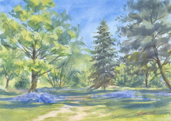 Bluebells, Bushy Park - Royal Park Watercolour by Surrey Landscape Artist Nadia Poe Bluebells, Bushy Park - Royal Park Watercolour by Surrey Landscape Artist Nadia Poe
